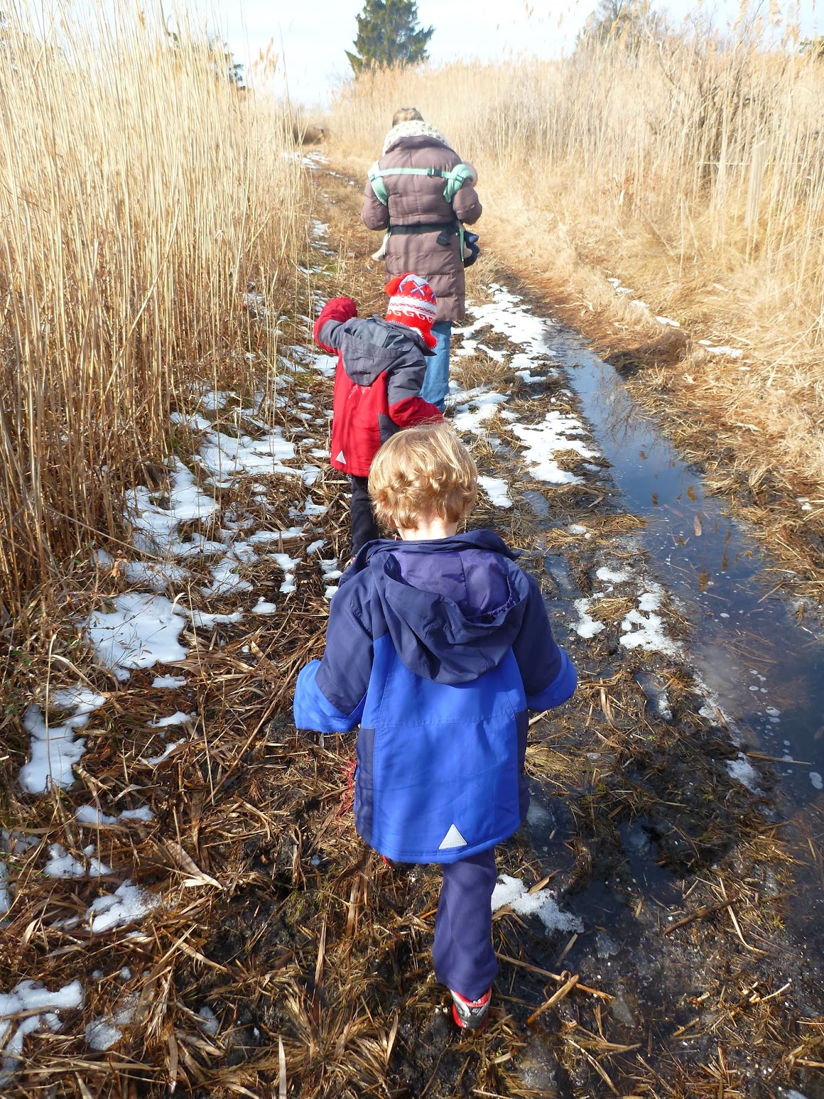 For Sun and Mud, Thank You Island Beach State Park