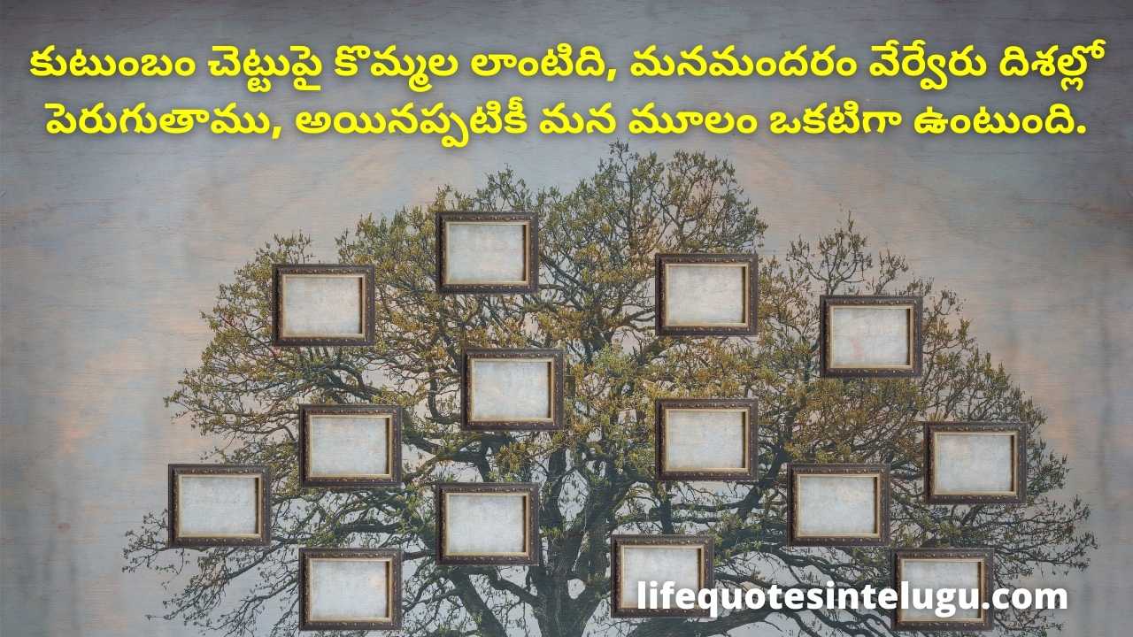 Family Relationship Quotes In Telugu