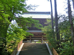 円覚寺の新緑