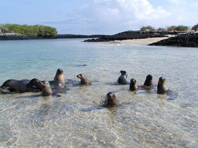 Isla Santa Cruz Galápagos