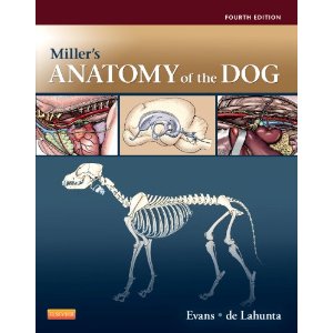 Veterinary literature | LIVET