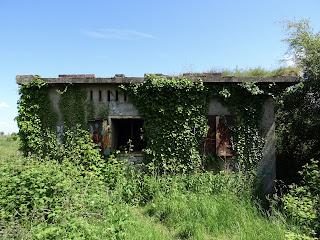 Abandoned WWII building on Cramond Island.  The building is overgrown and disappearing into the undergrowth. Photo by Kevin Nosferatu for the Skulferatu Project