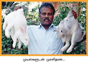 http://tholilvaaipugal.blogspot.in/2016/07/muyal-valarpu-rabbit-farming-muraigal.html