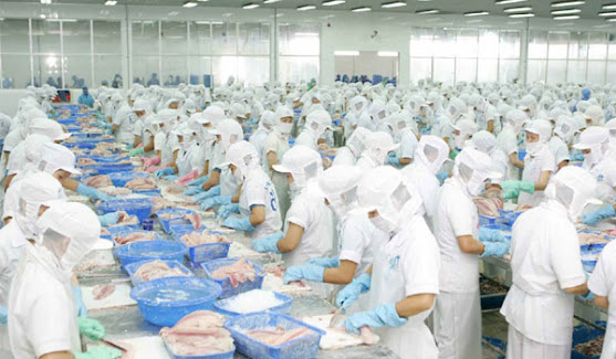 شركة الصناعات الغدائية شركة الصناعات الغدائية