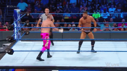 Bobby%2BRoode%2B-%2BSpinebuster.gif