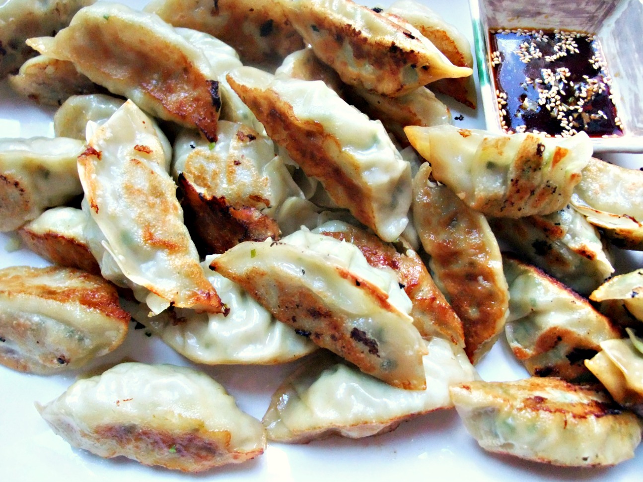 Susan's SavourIt! Japanese Cabbage and Pork Gyoza...