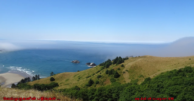 Cascade Head Meadows