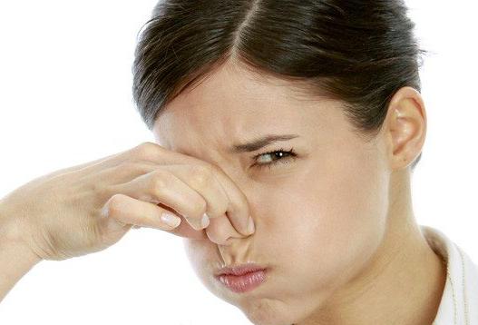 Hogar 10: Consejos para eliminar los malos olores del ...