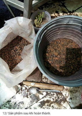 đất trồng sen đá đất trồng sen đá