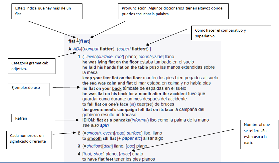 El uso del diccionario bilingüe