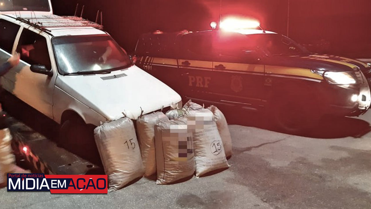 Dois homens são detidos com 105 kg de maconha na BR-232, em São Caetano
