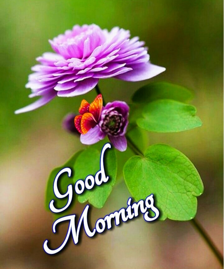 Good Morning Images For Whatsapp