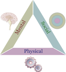 SOME INTERSTING FACTS ABOUT HEALTH TRIANGLE