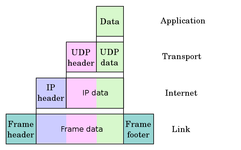 Network layer functions and protocols. Codeprg