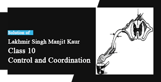 Solutions of Control and Coordination Lakhmir Singh Manjit Kaur VSAQ, and SAQ Pg No. 115 Class 10 Biology