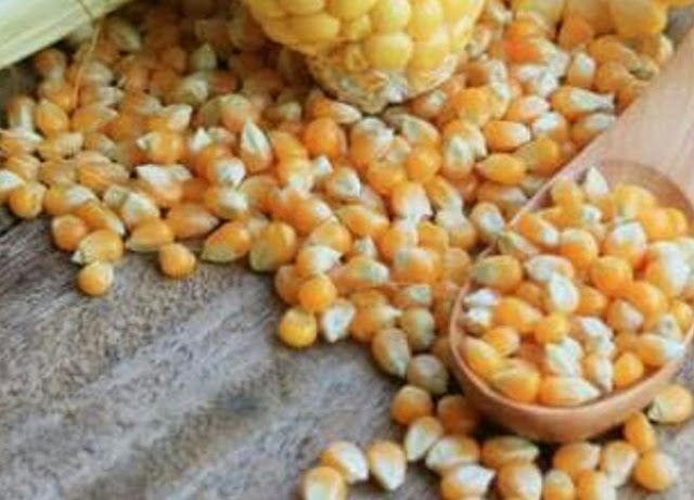 فوائد الفشار لعلاج الأمراض المزمنة 