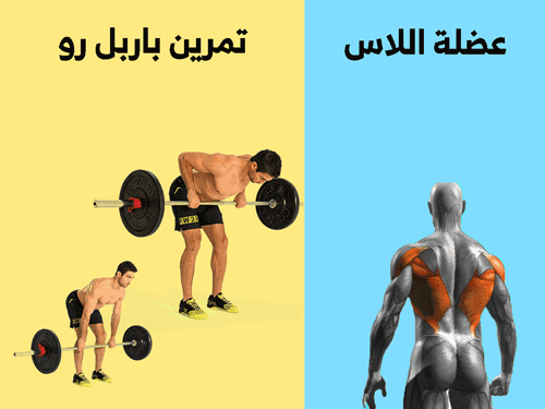 تمارين عضلات الظهر