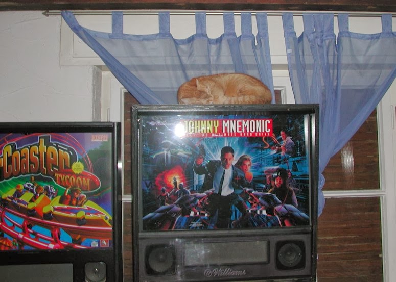 Tierisches Gewusel Diese doofe Daumenkralle