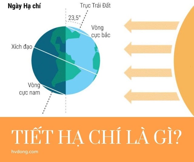 Tiết Hạ chí là gì? Ngày Hạ chí là ngày nào? 2023