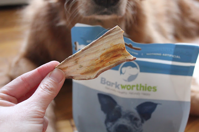 Barkworthies Healthy dog treats sweet potato chips for dogs review and giveaway