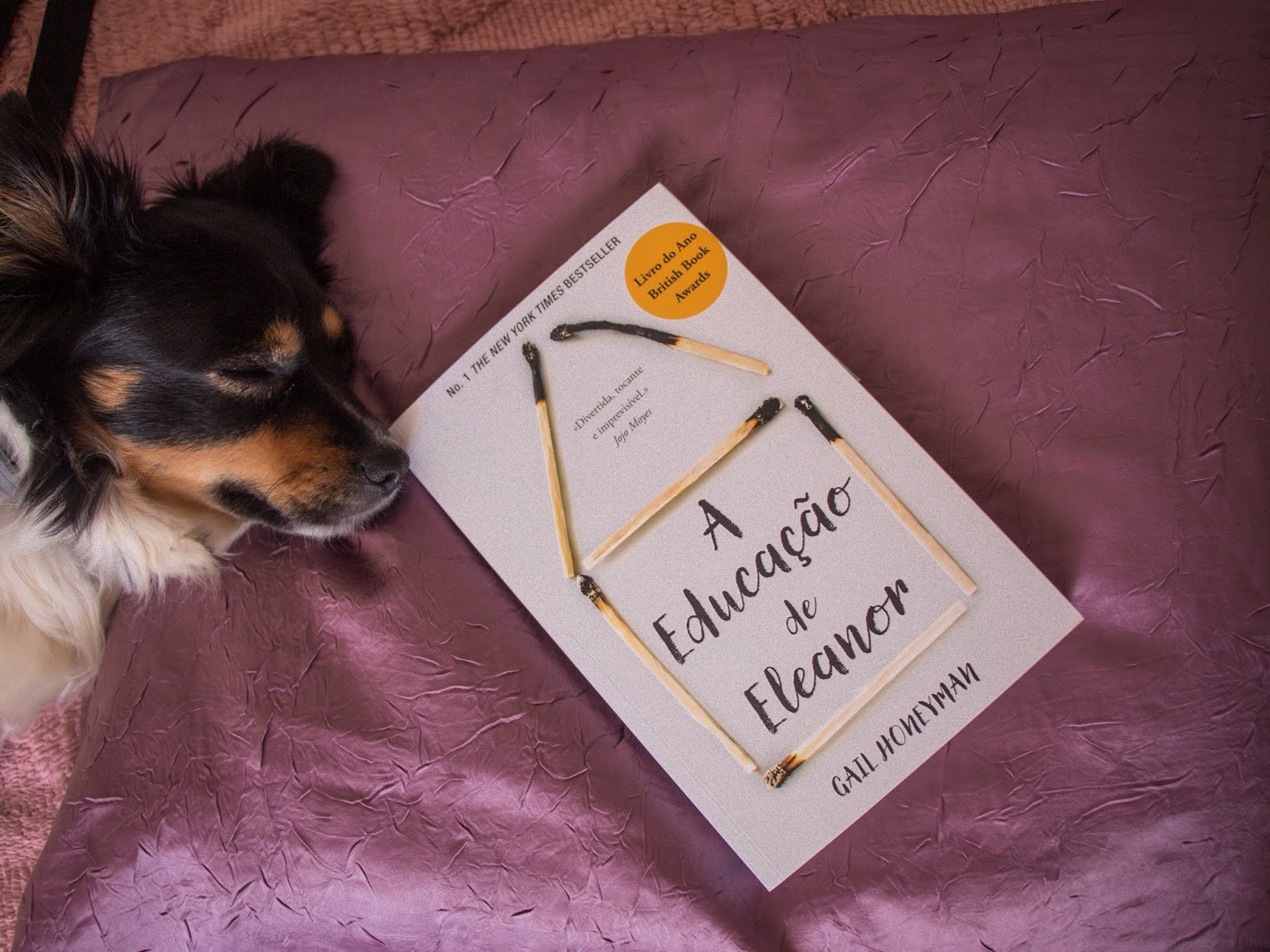 Maio em livros Maio em livros