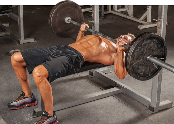 Bench Press Setup Build Muscles And Lose Weight