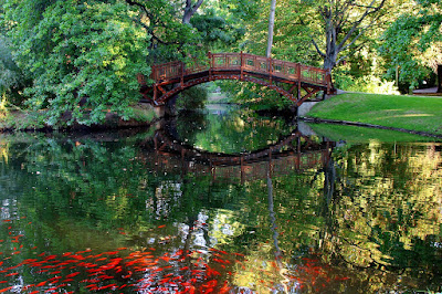 Nature Images Nature Images