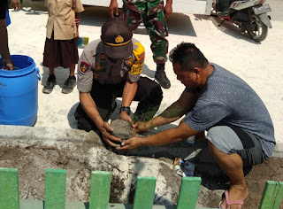 Selamatkan Lingkungan Pesisir, Kapolsek Tangaya Tanam Puluhan Pohon 