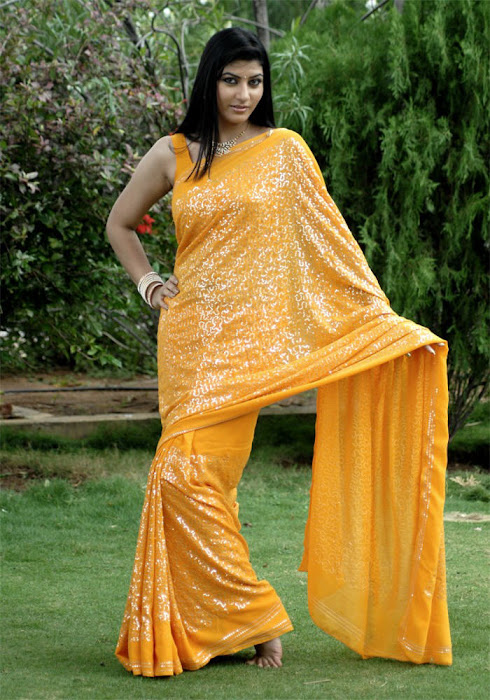 sarah sharma in saree tollywood spicy actress pics
