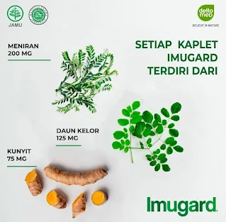 Manfaat Imugard Herbal Indonesia Tingkatkan Imunitas Tubuh Keluarga