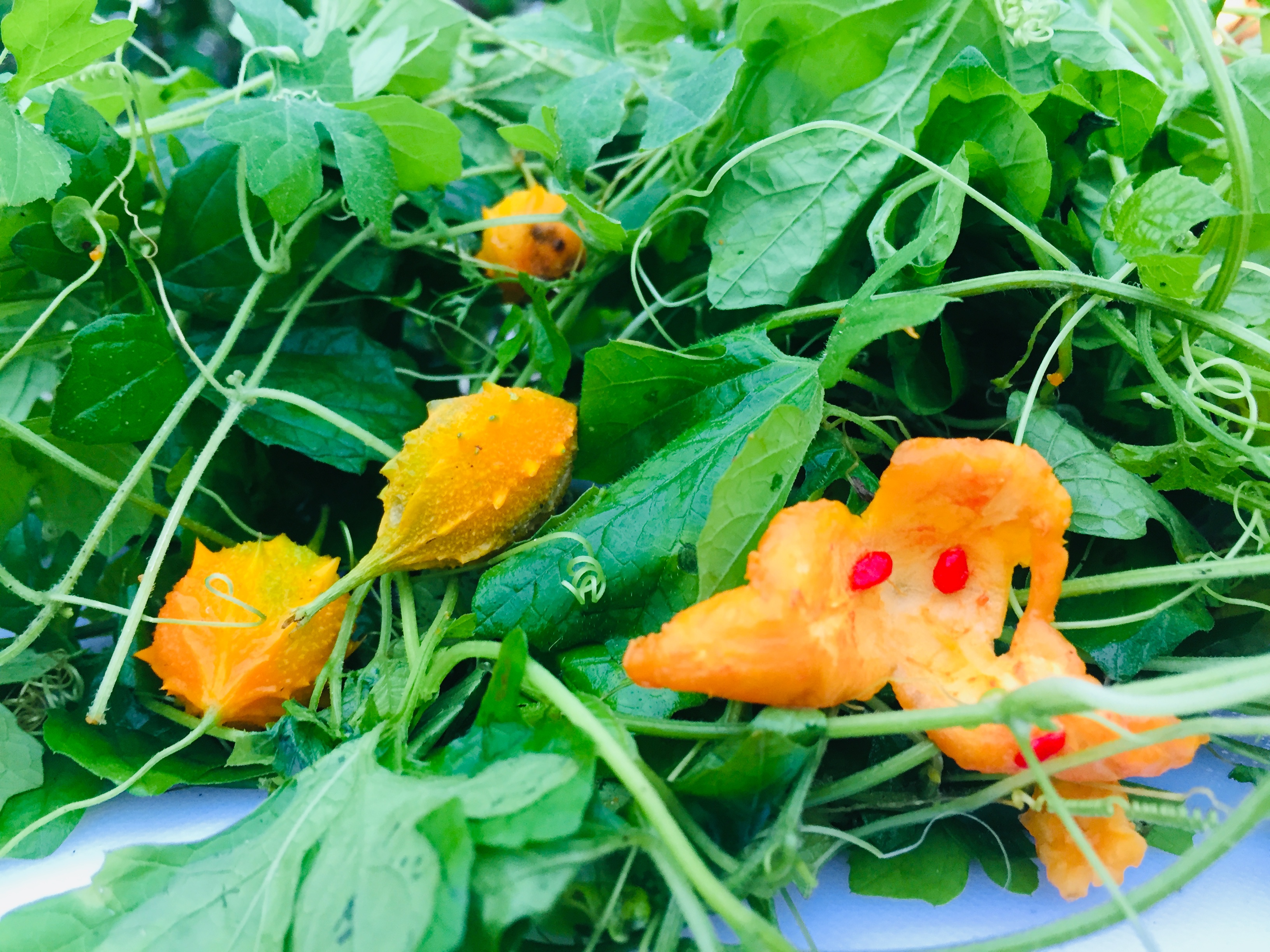 Cundeamor para el VIH