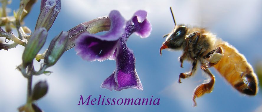 Melissomania