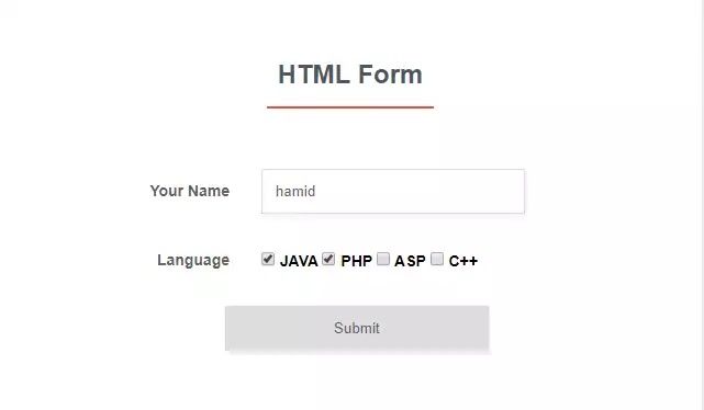 HTML form consisting of a single text box and four checkboxes