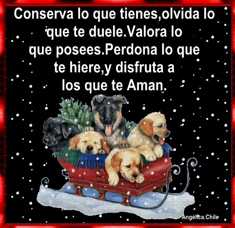 Ver las imágenes de origen