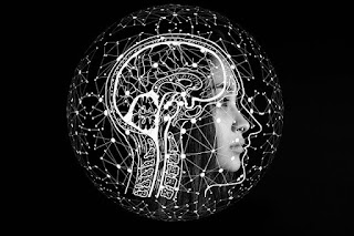 Pengertian Anatomis Secara Lengkap Pengertian Anatomis Secara Lengkap