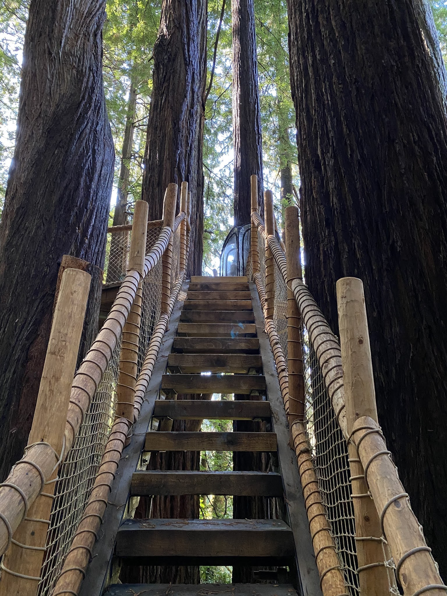 Trees of Mystery; a US Route 101 Landmark