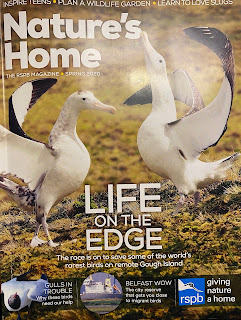 SGA latest news photo