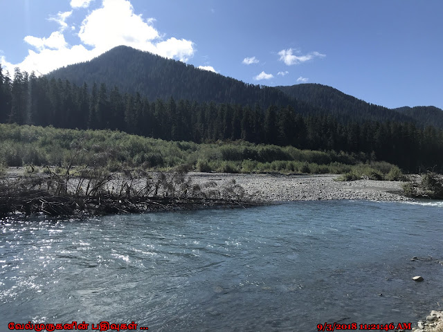 Hoh River Olympic National Park