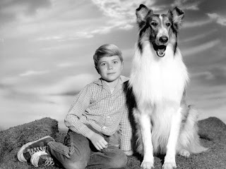 View from the Birdhouse: Dear Abby - Famous TV Dogs: Lassie