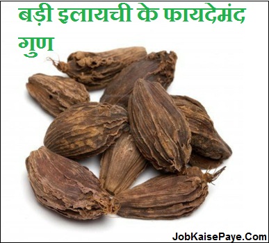 What diseases are cured by large cardamom What diseases are cured by large cardamom