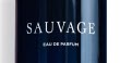 dior sauvage eau de parfum 100ml