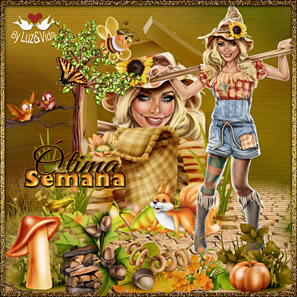Resultado%2B01%2528MB%2529maryluz.gif