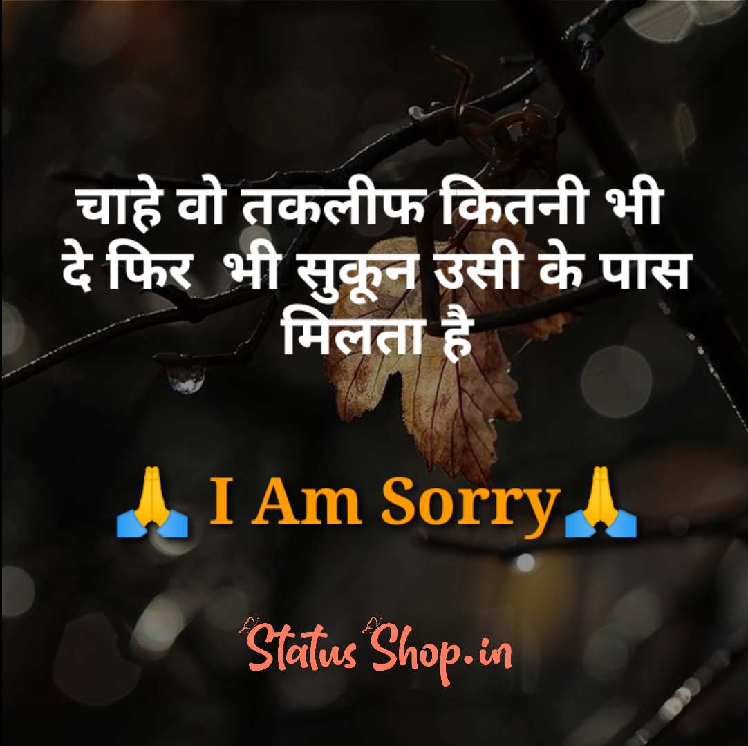 Sorry Status in Hindi for Whatsapp And Facebook Status Shop