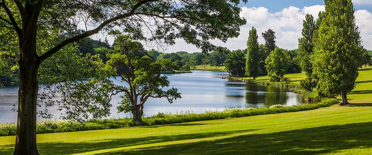 Fernando Ruz The Bowood Woodland Gardens