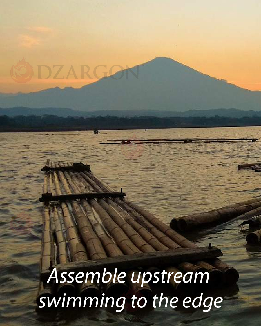 Berakit-rakit ke hulu, berenang-tenang ketepian a.k.a no pain, no gain asal jangan no women no cry ya