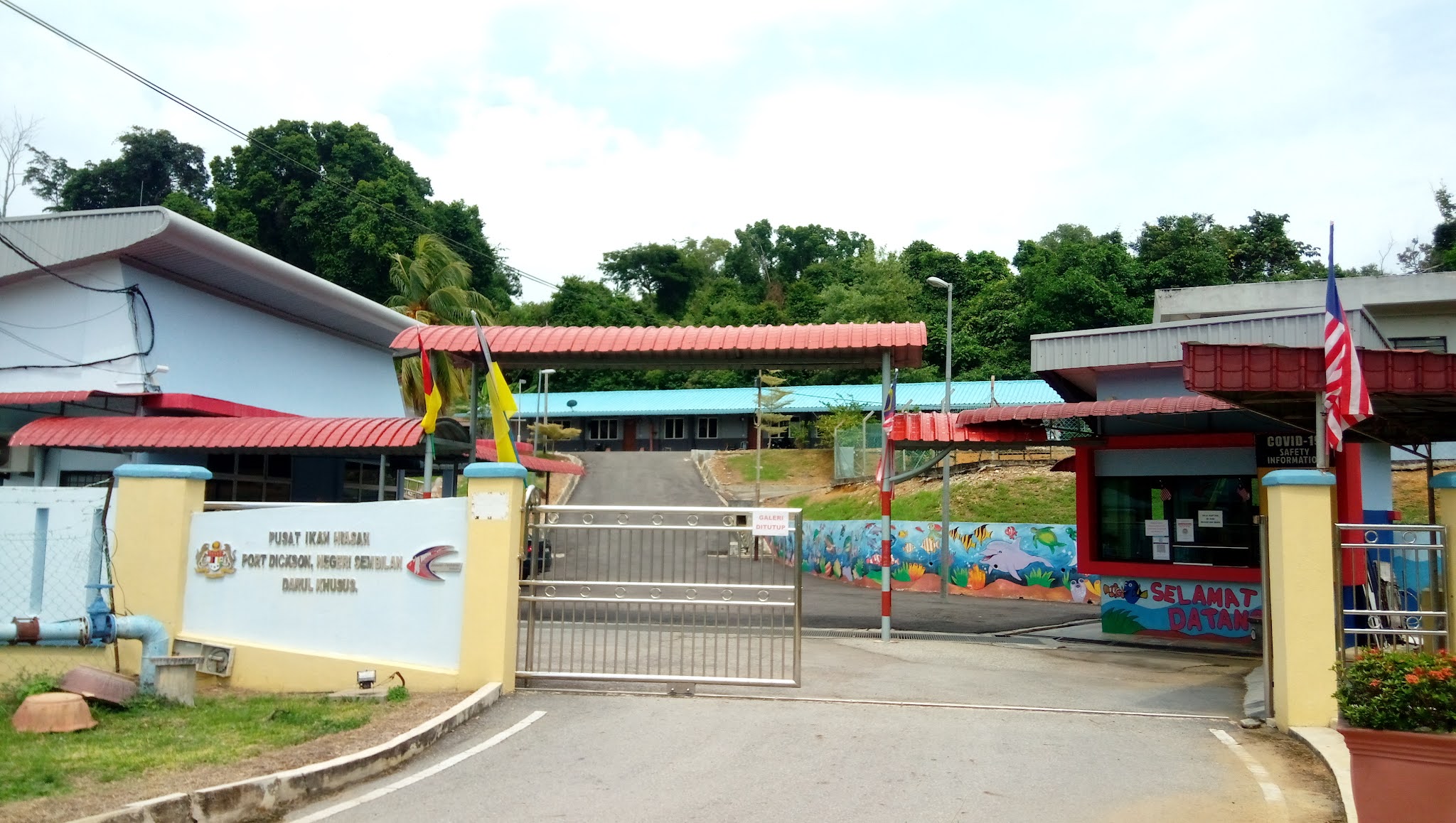 Pusat ikan hiasan port dickson