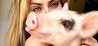 Vencedora do BBB19, Paula von Sperling  faz as pazes com sua 'porca rancorosa'