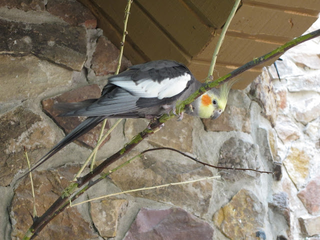 30 Days in the Zoo: April 2012