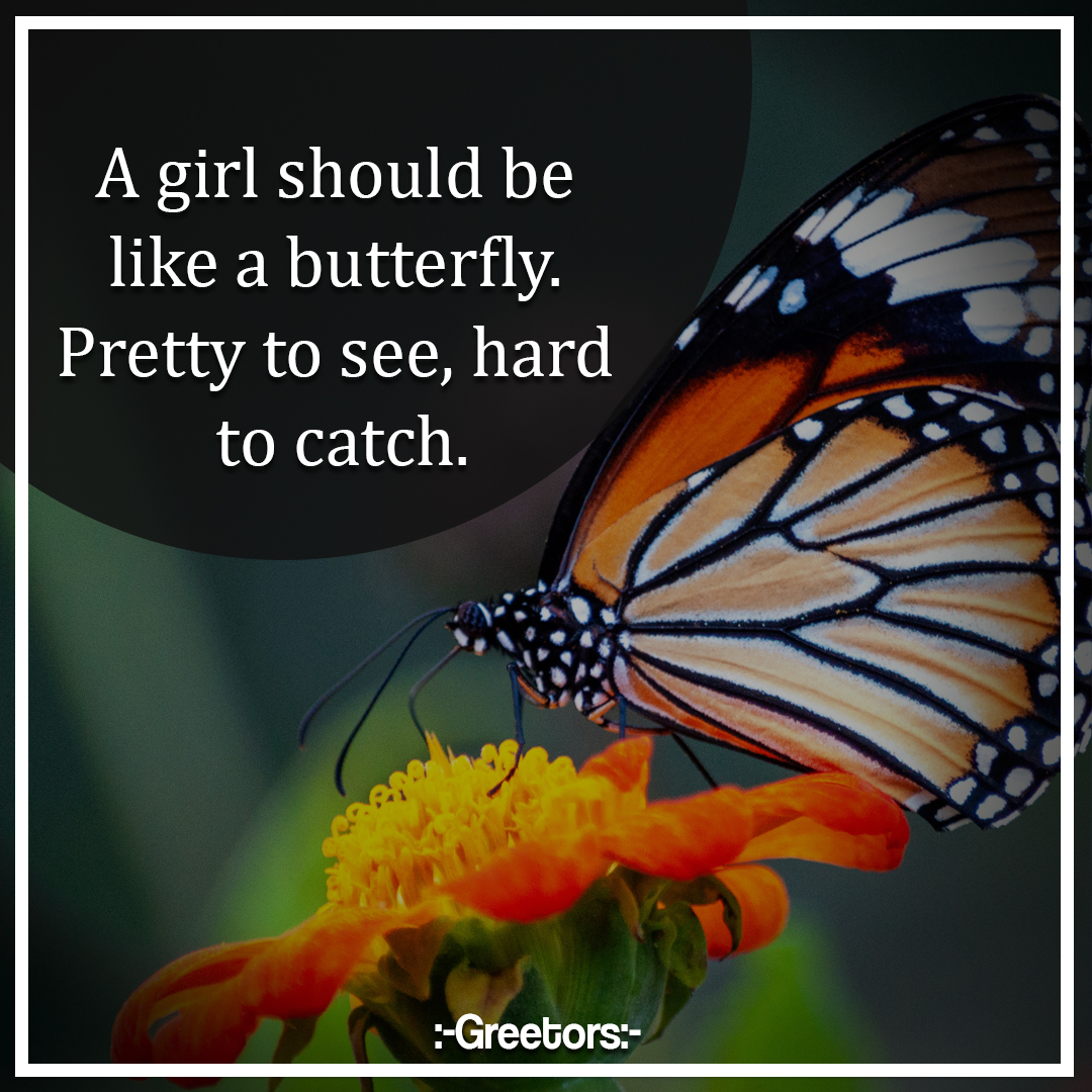 Classy status for whatsapp