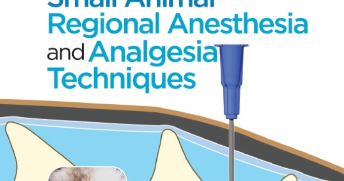 Handbook Of Small Animal Regional Anesthesia And Analgesia
